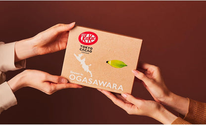 Nestlé KKT KitKat Mini Tokyo Cacao