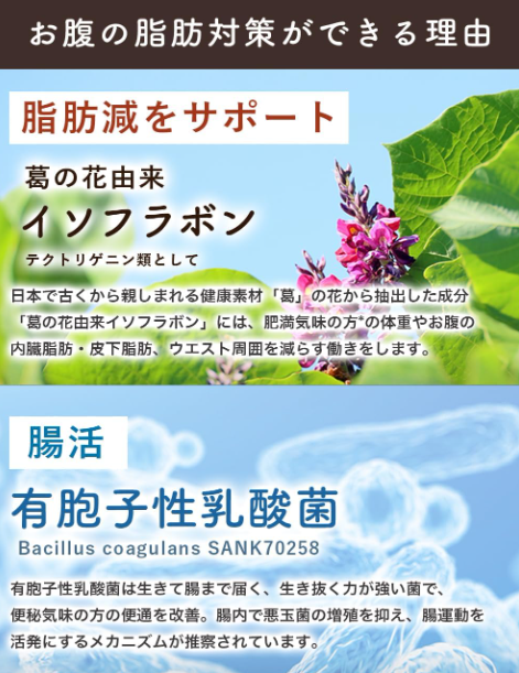 C TEA Charcoal Milk Tea 100g – Diet-Friendly Replacement with GABA, Theanine &amp; Rafma Extract