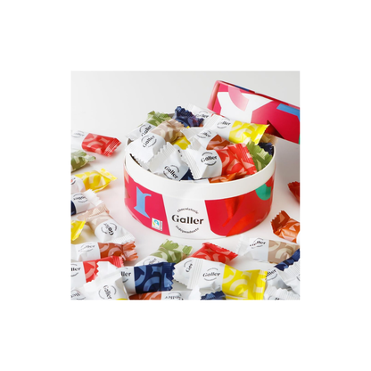 Galler Galley Nano Chocolate Bar Gift Pack | 30 Pieces | Belgian Royal Family Chocolate | Respect for the Aged Day