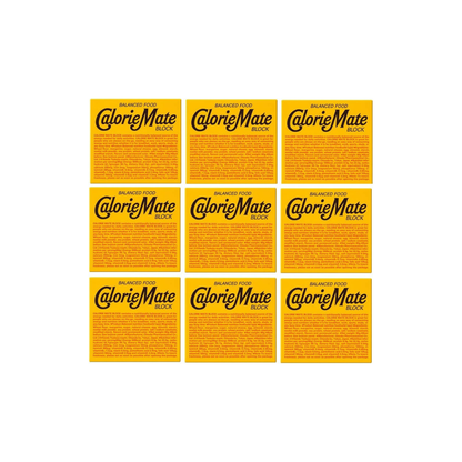 Otsuka Pharmaceutical Calorie Mate Block Cheese – 4 Pieces × 9 Packs | Balanced Nutrition Snack