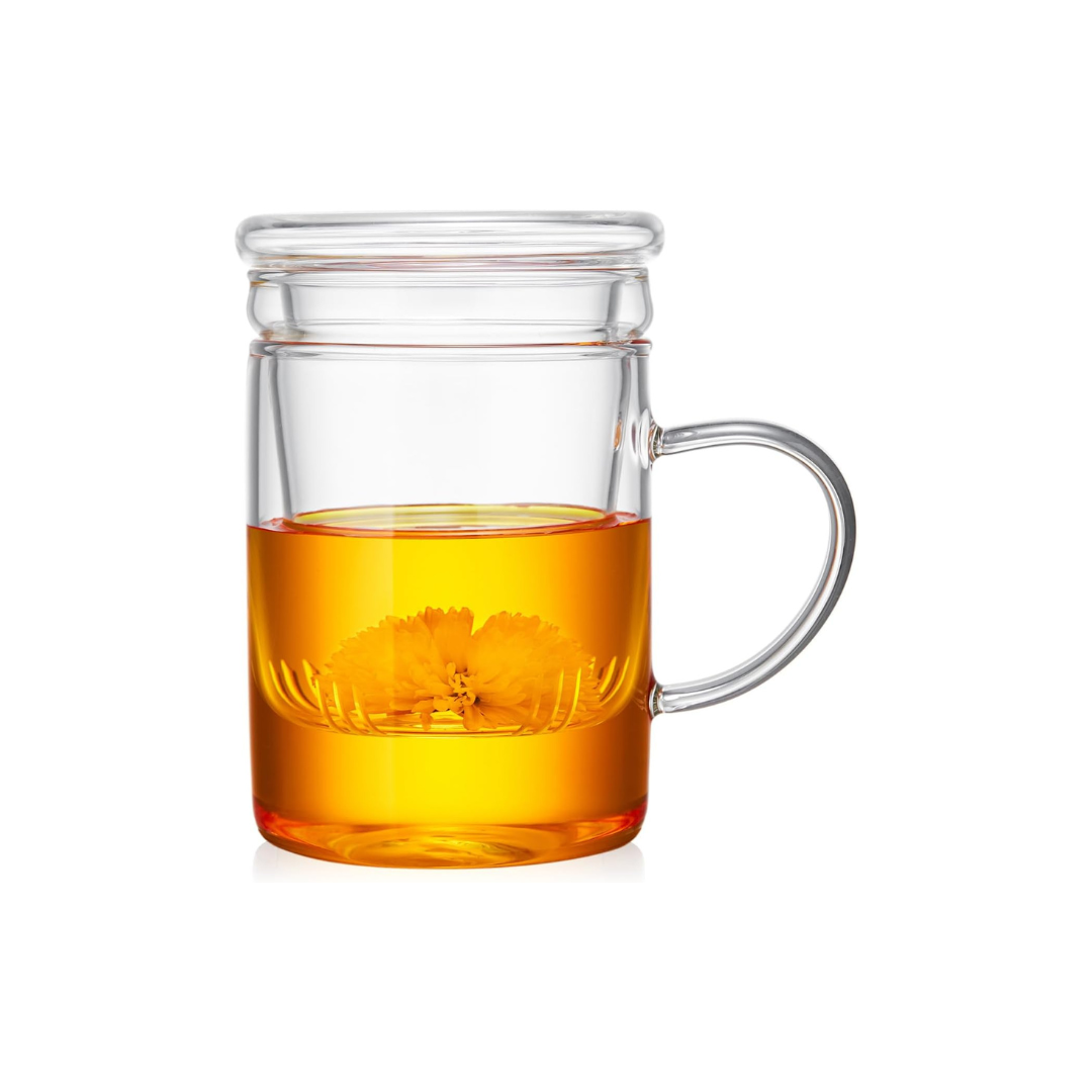 Pocalotea Glass Tea Cup with Infuser – 480ml Heat-Resistant Mug with Lid Strainer