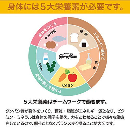 Calorie Mate Chocolate product information