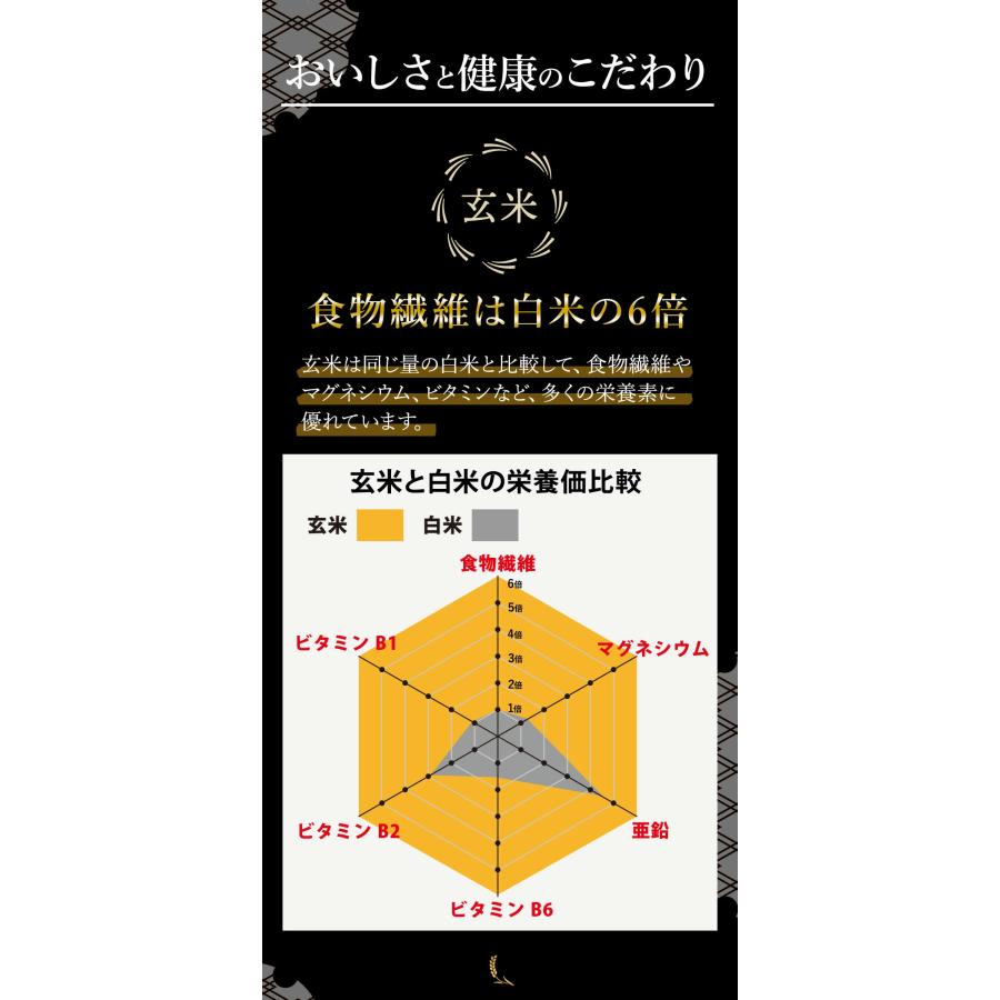 Nihonsakari brown rice amazake made from Japanese brown rice